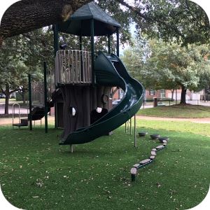 Whitt Tree House 2 Rounded