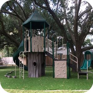 Whitt Tree House Rounded