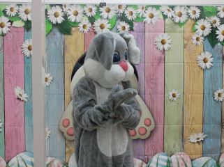 Easter Bunny Photo 2