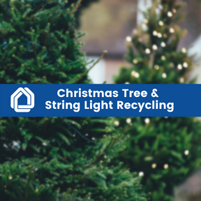 Christmas Tree and Light Recycling