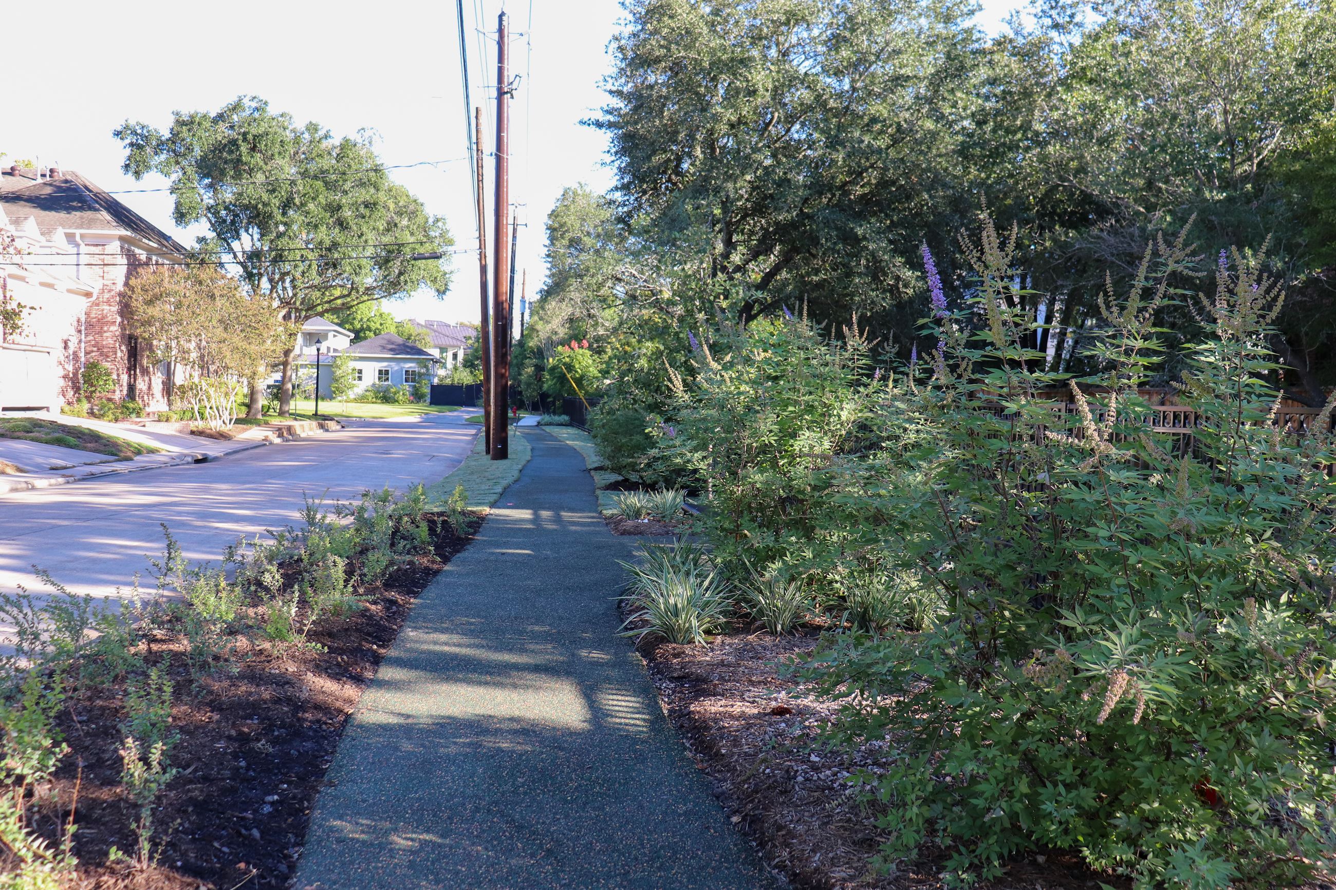 53268488275_6a0be4c816_o