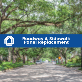 Roadway & Sidewalk Panel 